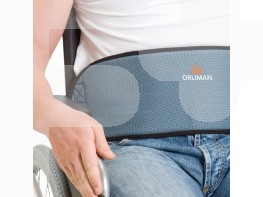 Imagen del producto ARNES ABDOMINAL SILLON AZUL TALLA 2 1004