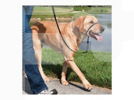 Imagen del producto Easy walk collar de manejo para perros   negro mediano