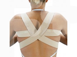 Imagen del producto ESPALDILLERA NORMAL T.3 E240 ORLIMAN