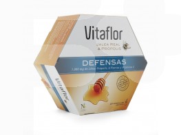 Imagen del producto Vitaflor defensas equinacea 20 viales