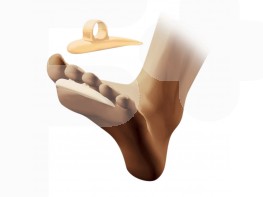 Imagen del producto Ratoncito silicona T.L 2U CC226