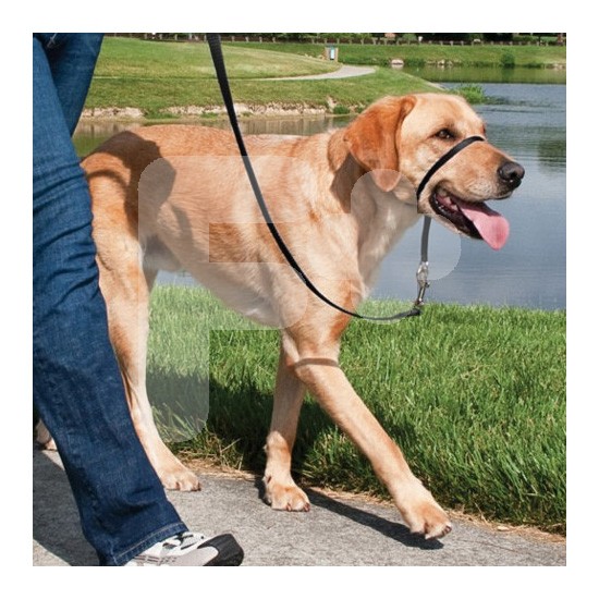 Easy walk collar de manejo para perros   negro mediano