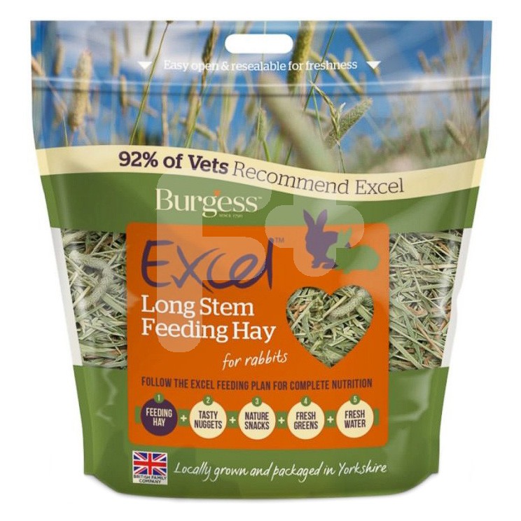 Burgess Excel Feeding Hay Long Stem 1kg