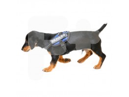 Julius arnés idc 1 azul