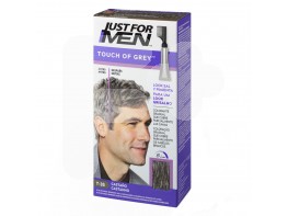 Just for men touch of grey castaño 40g