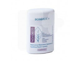 BOREADE R STICK REPARADOR 9,2 GRS.