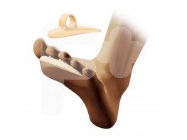 Ratoncito silicona T.M 2U CC226