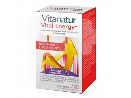 Vitanatur vital-energy 120 cápsulas