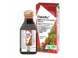 Floradix 250ml